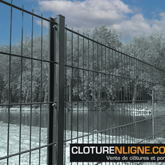 PANNEAU DE CLOTURE BIFILS 205 ø 6/5/6 1m61 x 2m50